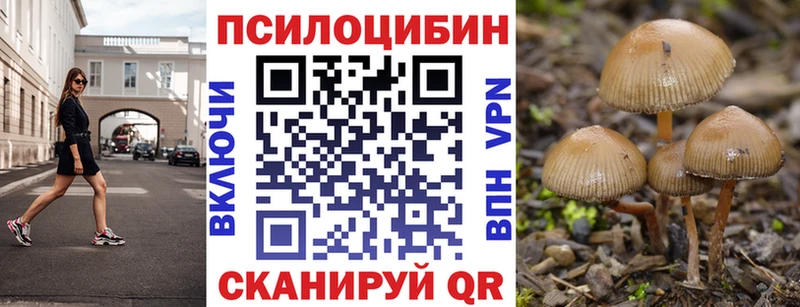 ссылка на мегу как зайти Красково Псилоцибиновые грибы мухоморы